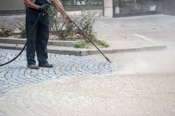 Best Pre-Holiday Cleaning  in Tonawanda, NY